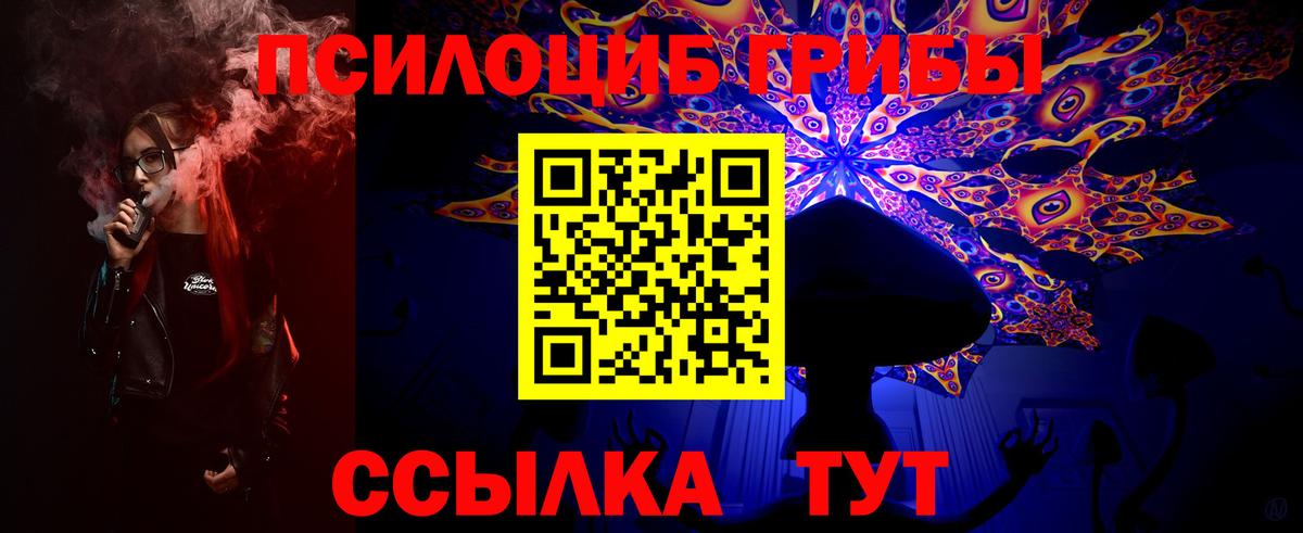 Галлюциногенные грибы Magic Shrooms  Псилоцибиновые грибы GOLDEN TEACHER  Вход с VPN  Биробиджан 